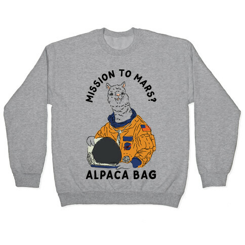 Mission to Mars Alpaca Bag Pullover