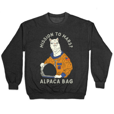 Mission to Mars Alpaca Bag Pullover