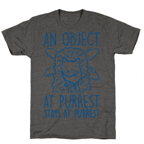 An Object At Purrest Stays At Purrest T-Shirt