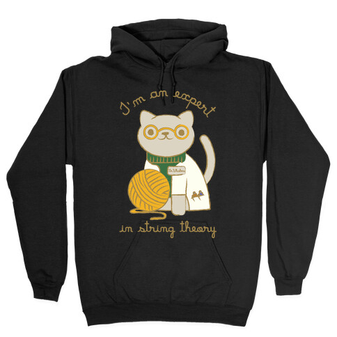 I'm An Expert In String Theory Hooded Sweatshirt