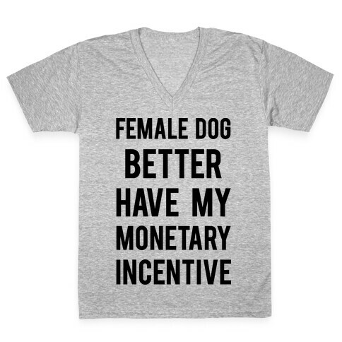 Female Dog Better Have My Monetary Incentive V-Neck Tee Shirt