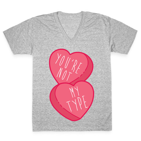 You're Not My Type V-Neck Tee Shirt