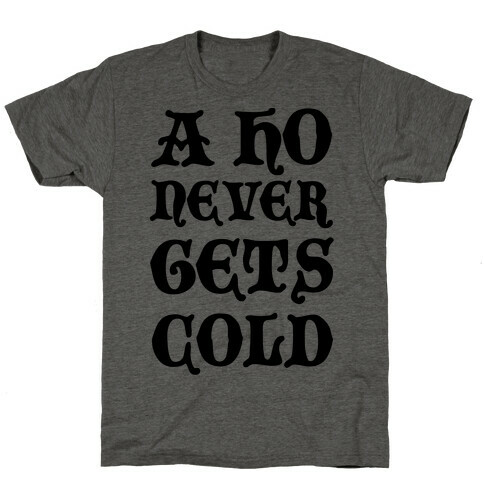 A Ho Never Gets Cold T-Shirt