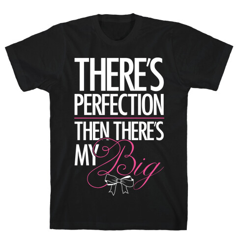 There's Perfection " Then There's My Big T-Shirt