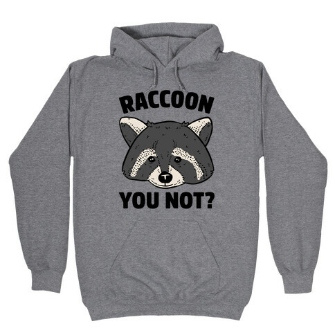 Raccoon You Not? Hooded Sweatshirt