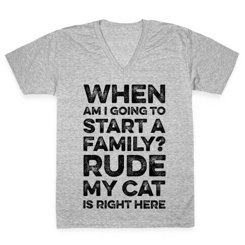 When Am I Going To I Start A Family? Rude My Cat Is Right Here V-Neck Tee Shirt