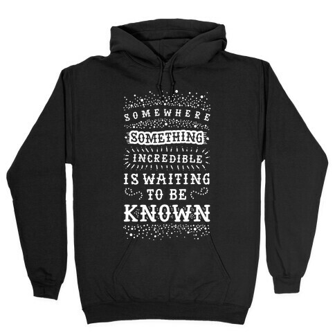 Somewhere Something Incredible Is Waiting To Be Known Hooded Sweatshirt