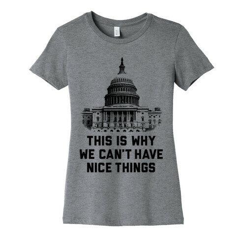 This Is Why We Can't Have Nice Things Womens T-Shirt