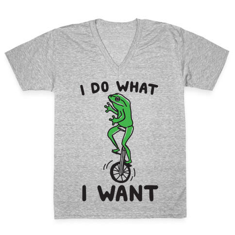 I Do What I Want V-Neck Tee Shirt