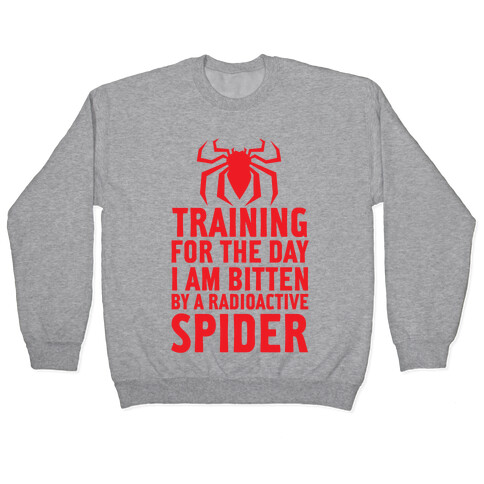 Training For The Day Pullover
