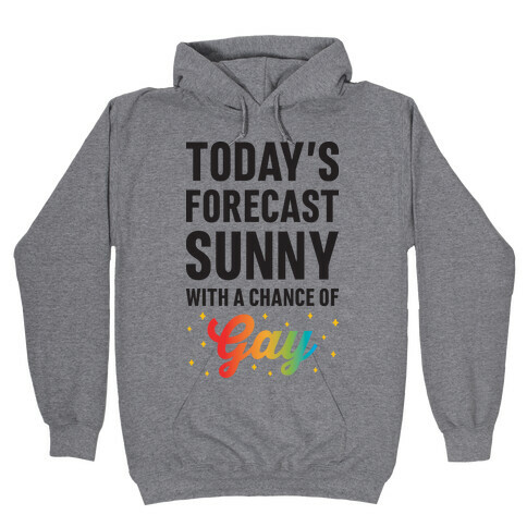 Today's Forecast, Sunny With A Chance of Gay Hooded Sweatshirt