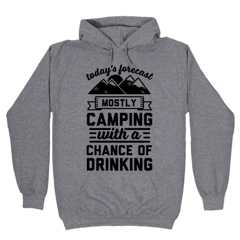 Today's Forecast Is Mostly Camping With A Chance Of Drinking (CMYK) Hooded Sweatshirt