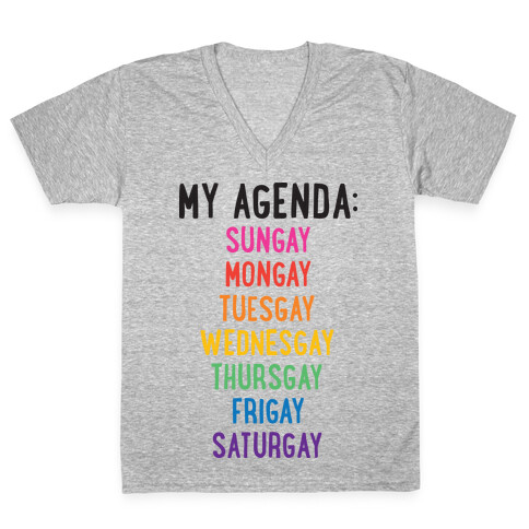 Gays of the Week V-Neck Tee Shirt