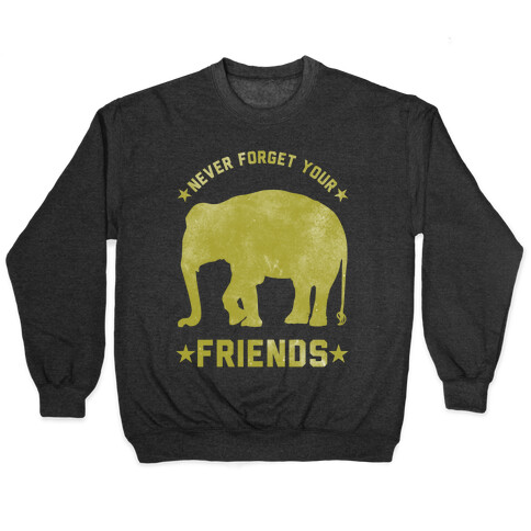 Never Forget Your Friends Pullover