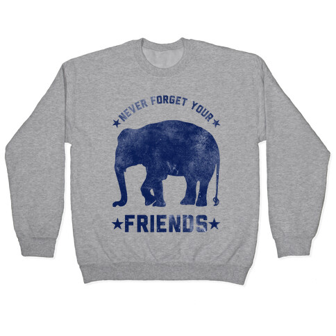 Never Forget Your Friends Pullover