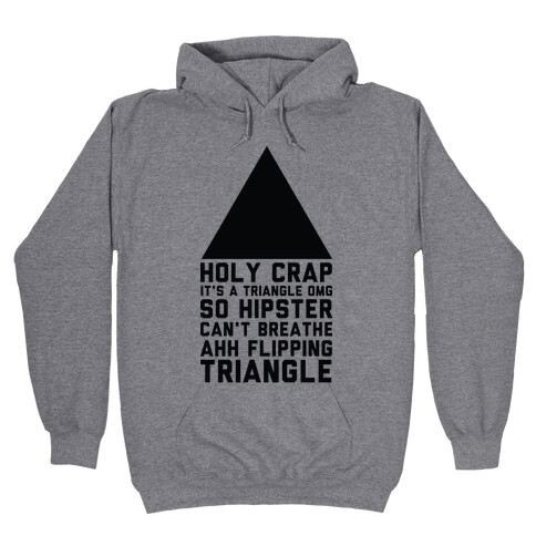 Holy Crap It's a Triangle Hooded Sweatshirt