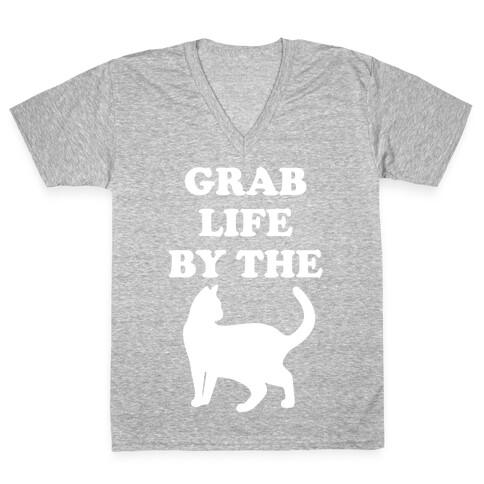 Grab Life By The Pussy V-Neck Tee Shirt