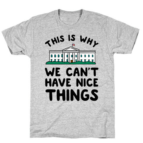 This is Why we Can't Have Nice Things T-Shirt