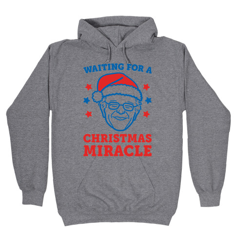 Waiting For A Christmas Miracle Bernie Sanders Hooded Sweatshirt