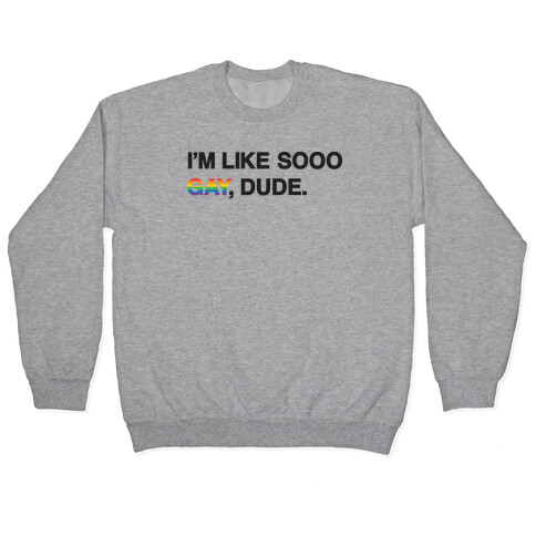 I'm Like Sooo Gay, Dude. Pullover