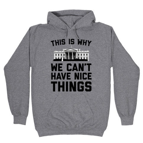 This is Why We Can't Have Nice Things (white House) Hooded Sweatshirt