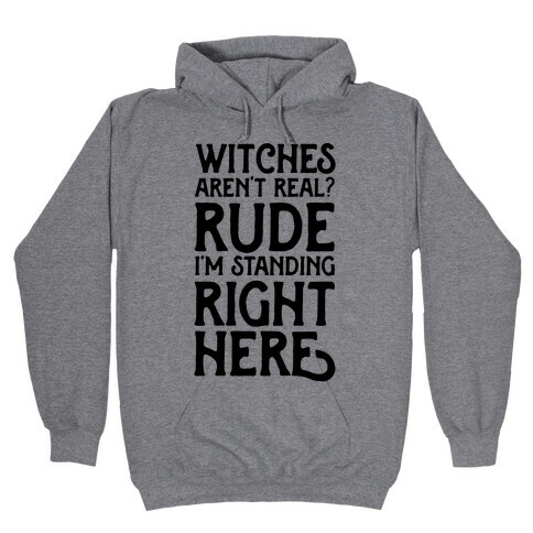 Witches Aren't Real? Rude I'm Standing Right Here Hooded Sweatshirt