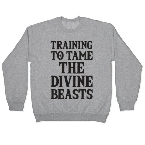 Training To Tame The Divine Beasts Pullover