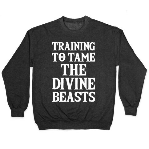 Training To Tame The Divine Beasts Pullover
