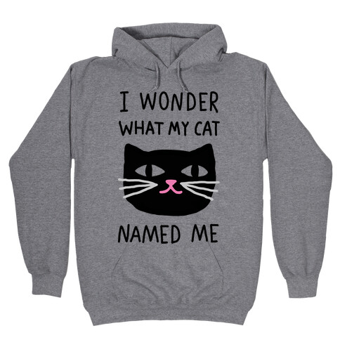 I Wonder What My Cat Named Me Hooded Sweatshirt