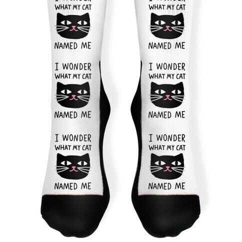 I Wonder What My Cat Named Me Sock