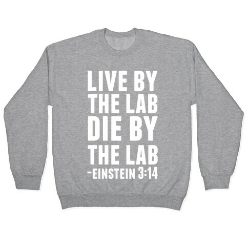 Live By The Lab Die By The Lab Einstein 3:14 Pullover