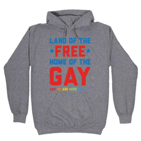 Land Of The Free Home Of The Gay Hooded Sweatshirt