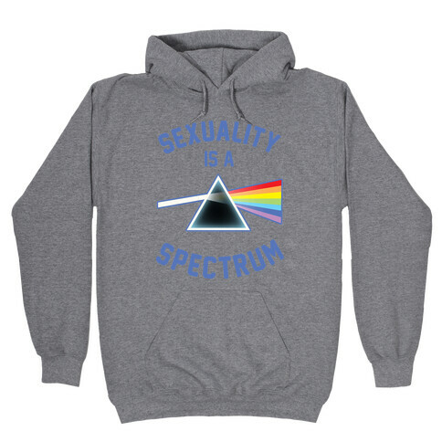 Sexuality is a Spectrum Hooded Sweatshirt