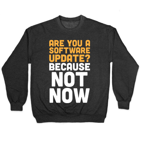 Are You A Software Update? Because Not Now Pullover