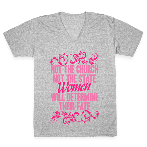 Not The Church Not The State V-Neck Tee Shirt