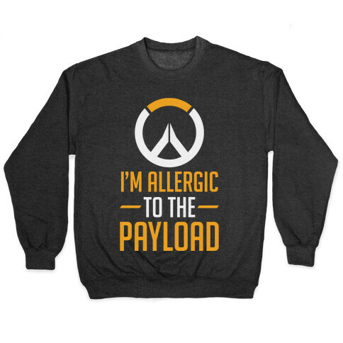 I'm Allergic to the Payload Pullover