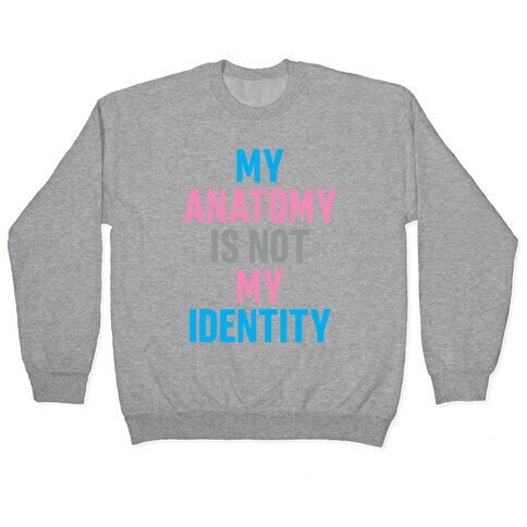 My Anatomy Is Not My Identity Pullover