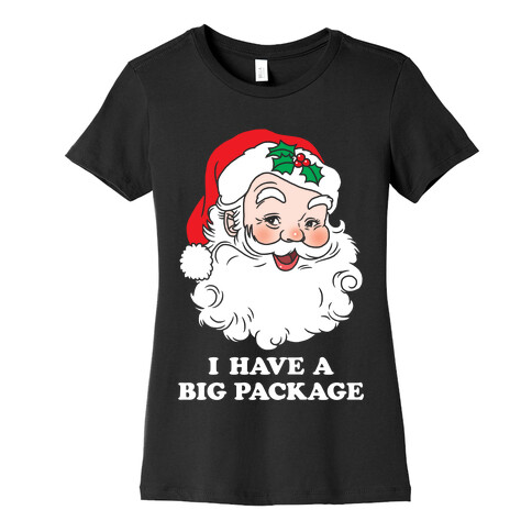 Santa's Package Womens T-Shirt