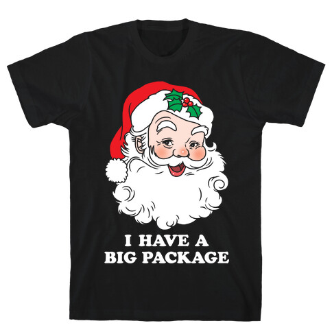 Santa's Package T-Shirt