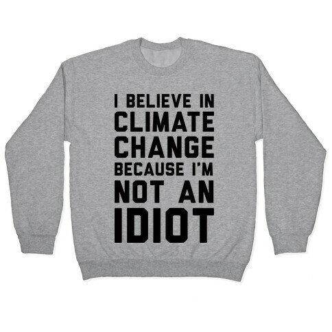 I Believe In Climate Change Because I'm Not An Idiot Pullover