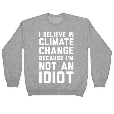 I Believe In Climate Change Because I'm Not An Idiot Pullover