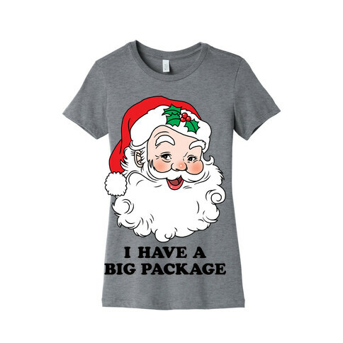 Santa's Package Womens T-Shirt