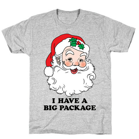 Santa's Package T-Shirt