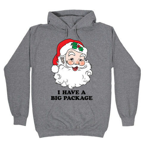 Santa's Package Hooded Sweatshirt