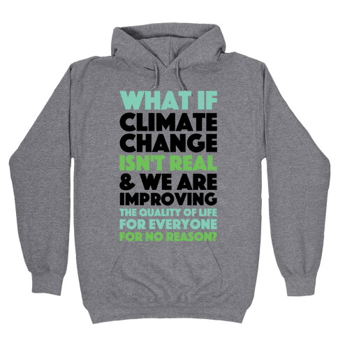 What If Climate Change Isn't Real Hooded Sweatshirt