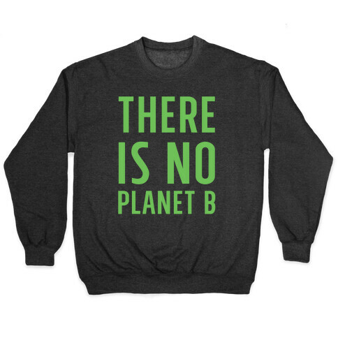 There is No Planet B Pullover