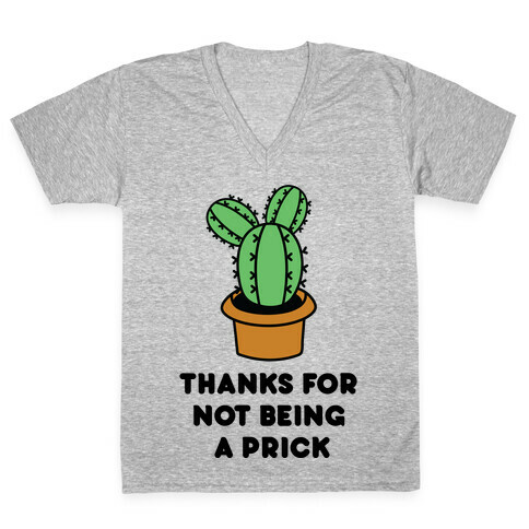 Thanks For Not Being A Prick V-Neck Tee Shirt