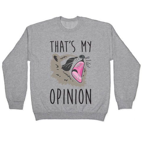 That's My Opinion Raccoon Pullover