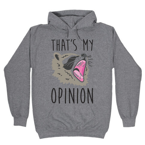 That's My Opinion Raccoon Hooded Sweatshirt