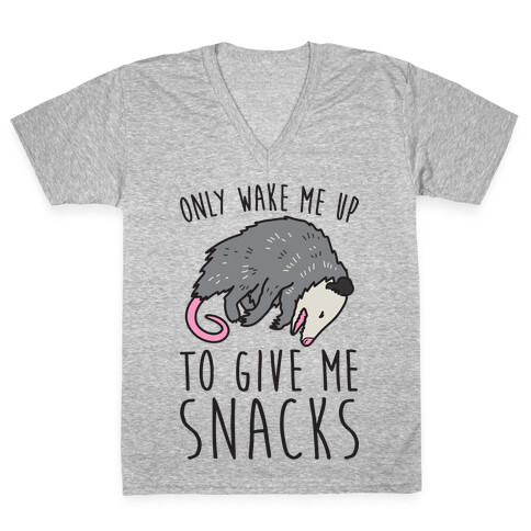 Only Wake Me Up To Give Me Snacks Opossum V-Neck Tee Shirt